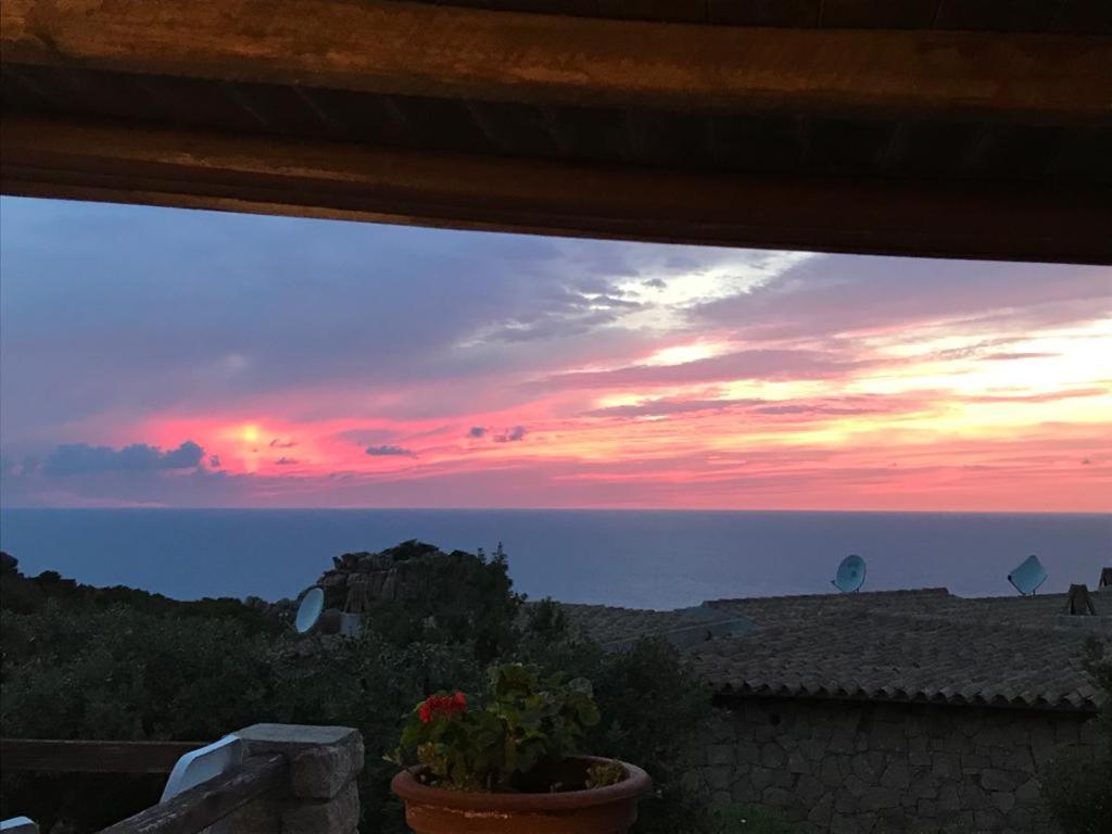 Villa Unica - Appartamenti Alba E Tramonto Isola Rossa Buitenkant foto