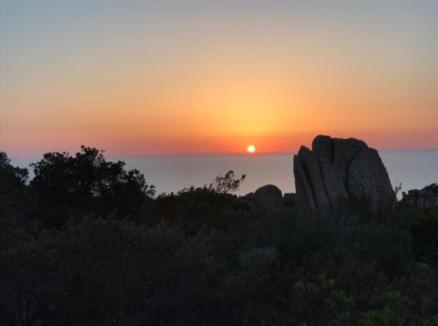 Villa Unica - Appartamenti Alba E Tramonto Isola Rossa Buitenkant foto