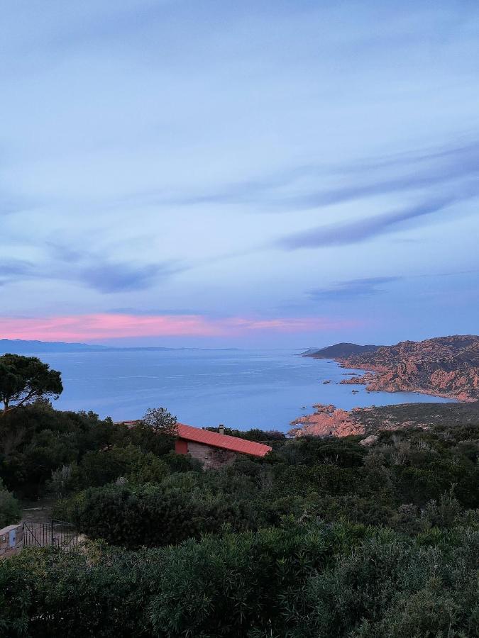 Villa Unica - Appartamenti Alba E Tramonto Isola Rossa Buitenkant foto